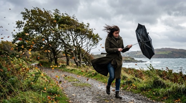 Windy weather